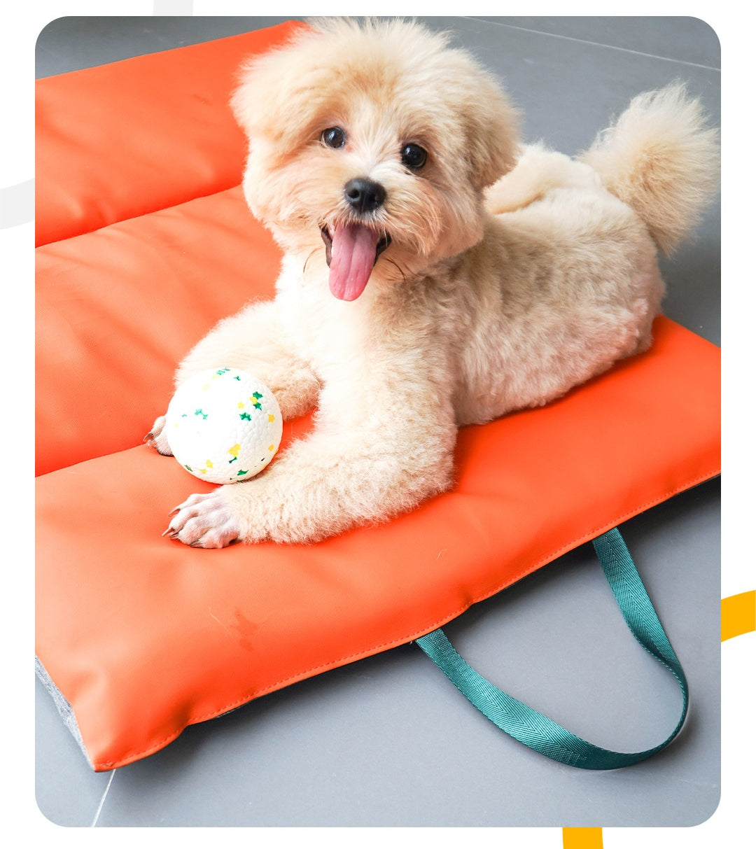 Xmaster Compressible Pet Bed – Soft Foldable Pet Sleeping Mat with Microfiber & Oxford Cloth
