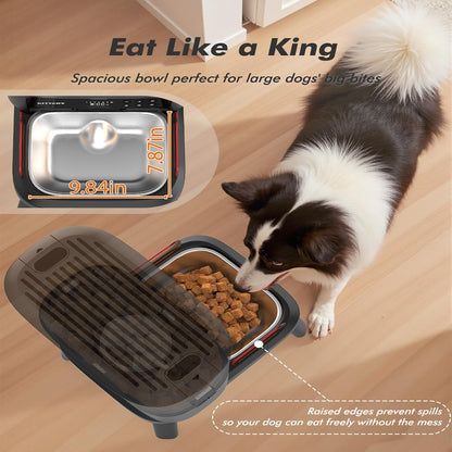 TikPaws TT01 Automatic Large Dog Feeder 2026  – 15L Smart Feeding Station with Adjustable Stand & Stainless Steel Bowl