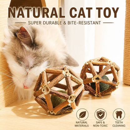 Natural Catnip Ball Toy – Interactive Matatabi Chew Toy for Cats