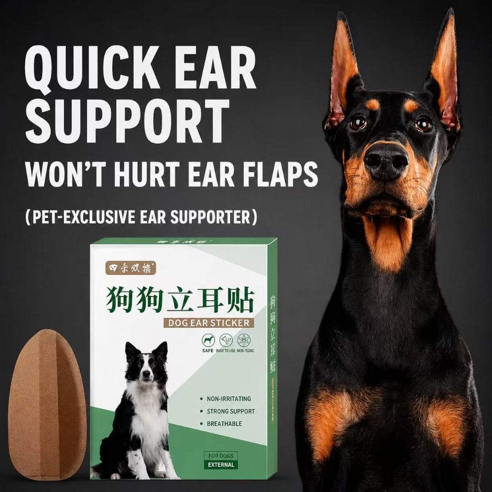 Dog Ear Support Patch | Upright Ear Trainer for Dogs