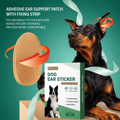 Dog Ear Support Patch | Upright Ear Trainer for Dogs