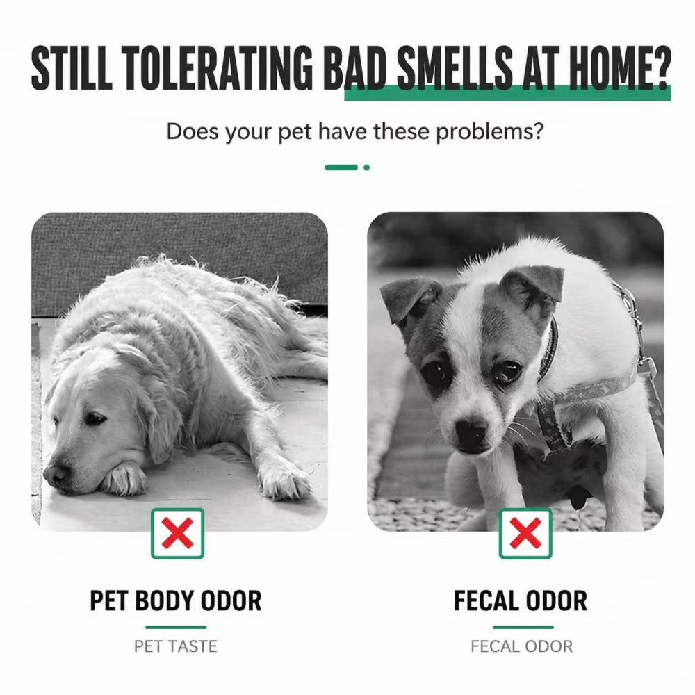 Pet Deodorizing Spray 500ml – Antibacterial & Enzyme Odor Eliminator