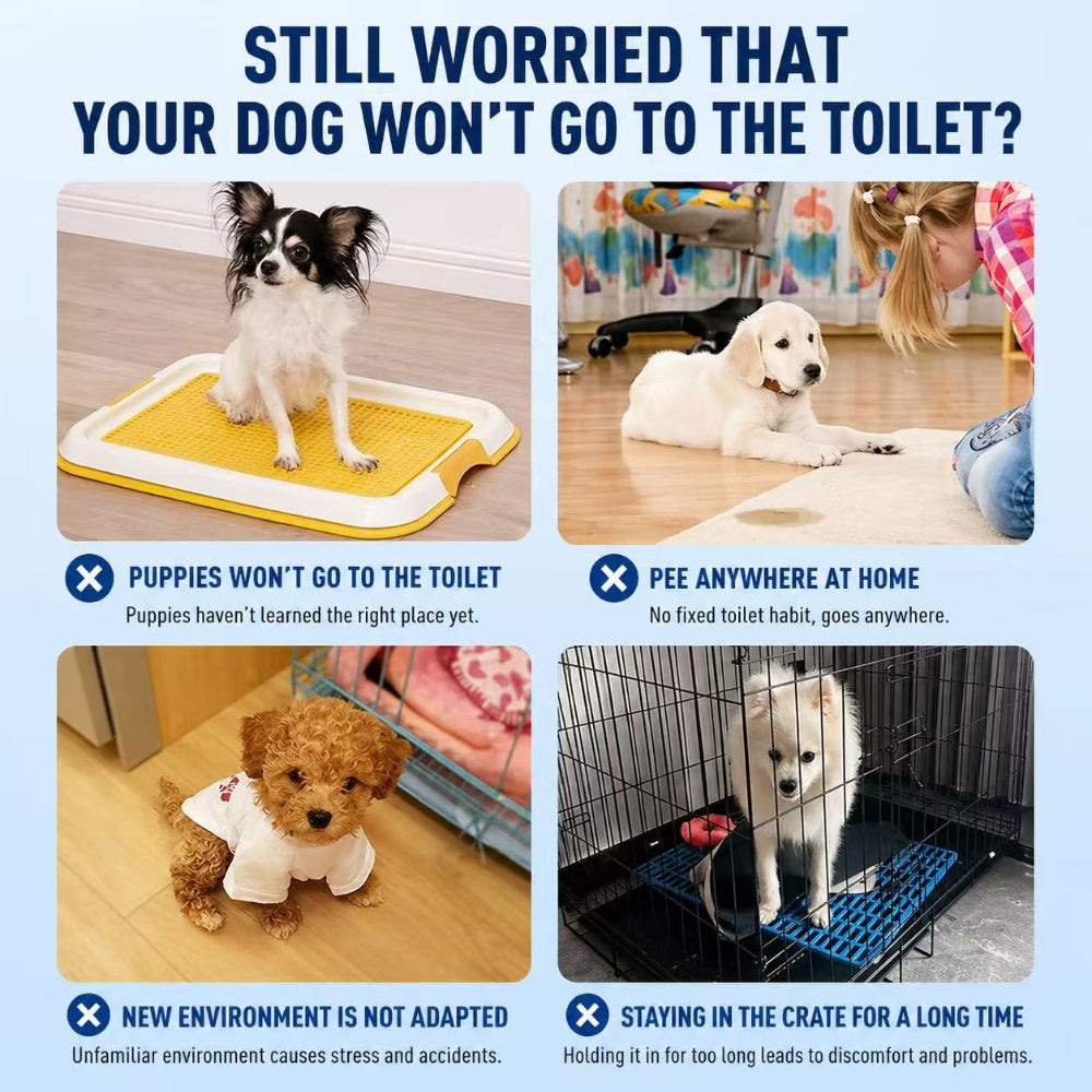 Pet Toilet Training Inducer Spray 120ml – Positioning Attractant for Dogs & Cats