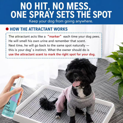 Pet Toilet Training Inducer Spray 120ml – Positioning Attractant for Dogs & Cats