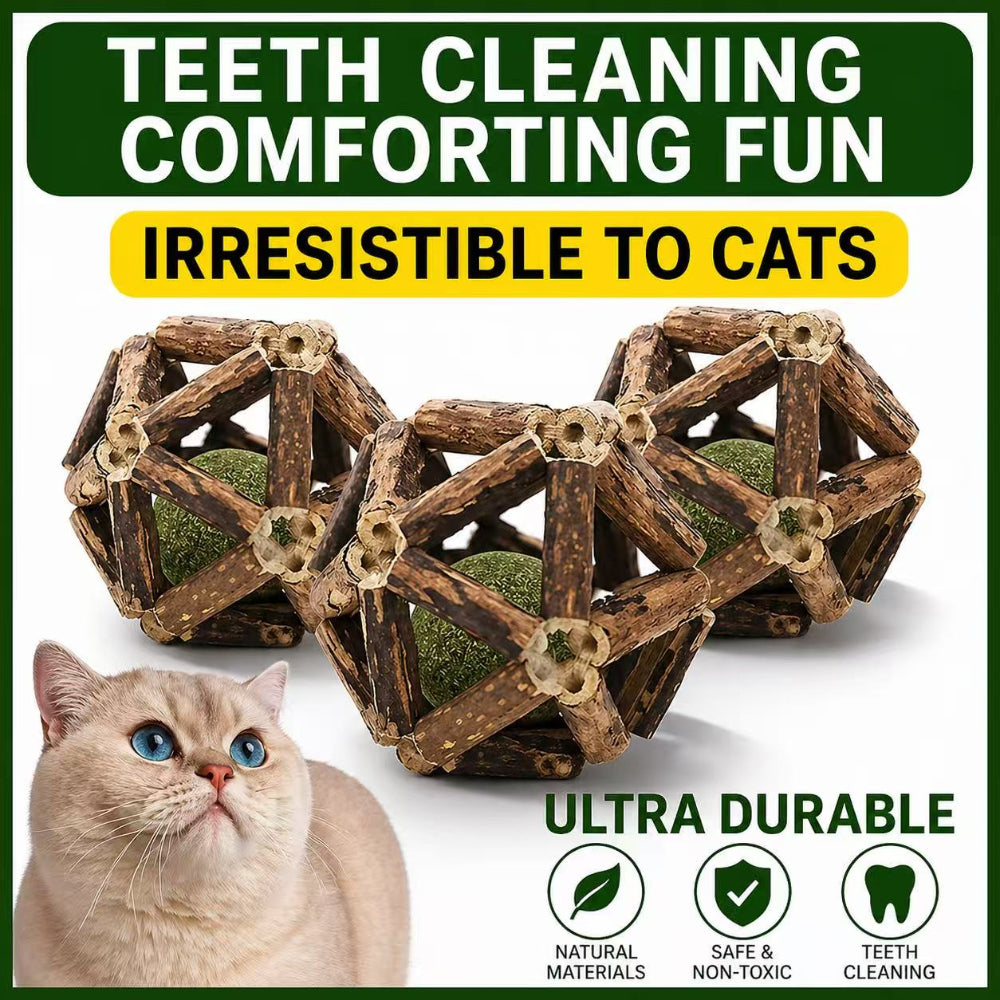 Natural Catnip Ball Toy – Interactive Matatabi Chew Toy for Cats