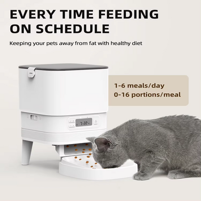 TikPaws PF11 Automatic Pet Feeder – Programmable Smart Feeder with Elevated Stainless Steel Bowl