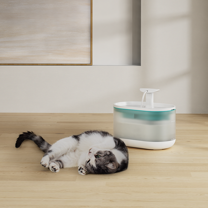 TikPaws TK-WF002 Automatic Pet Water Fountain – 2.1L Ultra-Quiet Drinking Fountain for Small Pets
